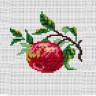 Набор для вышивки "Яблоко" 1 шт. ("Panna" Д-0222) 11см х 10см