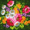 Канва с рисунком "Полевые цветы" 1 шт. (952) 41см х 41см