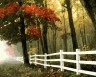 Набор для раскрашивания акриловыми красками Осенний лес 1 шт. ("ФРЕЯ" PNB-1-22) 50см х 50см