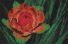 Набор для вышивки "Тропический цветок " 1 шт. ("Panna" Ц-0411) 15см х 10см