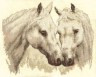 Набор для вышивки "Пара белых лошадей" 1 шт. ("Panna" Ж-1066) 43.5см х 36.5см