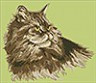 Канва с рисунком "Кот перс" 1 шт. (2060) 33см х 33см