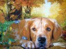 Канва с рисунком "Собака в лесу" 1 шт. (80111) 33см х 46см