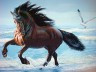 Канва с рисунком "Конь на море" 1 шт. (80163) 33см х 46см