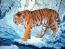 Канва с рисунком "Тигр у ручья" 1 шт. (80270) 33см х 46см