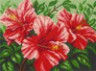 Канва с рисунком " Розовые цветы" 1 шт. (1008) 24см х 30см