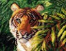 Канва с рисунком "Тигр в джунглях" 1 шт. (526) 24см х 30см