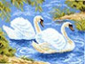 Канва с рисунком "Лебеди" 1 шт. (559) 24см х 30см