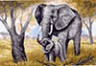 Канва с рисунком "Слоны" 1 шт. (616) 33см х 45см