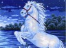 Канва с рисунком "Гарцующий конь" серия 10.000 1 шт. (Collection D'Art 10363) 40см х 50см