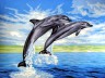 Канва с рисунком "Дельфины" серия 10.000 1 шт. (Collection D'Art 10429) 40см х 50см
