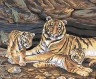 Канва с рисунком "Тигриная семья" серия 11.000 1 шт. (Collection D'Art 11485) 50см х 60см
