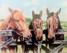 Канва с рисунком "Лошади в загоне" серия 11.000 1 шт. (Collection D'Art 11500) 50см х 60см