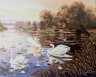 Канва с рисунком "Лебеди на пруду" серия 11.000 1 шт. (Collection D'Art 11591) 50см х 60см