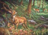 Канва с рисунком "Олени в лесу" серия 12.000 1 шт. (Collection D'Art 12972) 60см х 80см