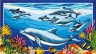 Канва с рисунком "Дельфины" серия 12.000 1 шт. (Collection D'Art 12981) 50см х 60см