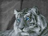 Кристальная мозаика "Фрея" Загадочный тигр 1 шт. (ООО "ПАННА" ALV-3-01) 47.5см х 60см
