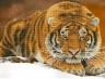 Кристальная мозаика "Фрея" Амурский тигр коробка 1 шт. (ООО "ПАННА" ALV-15) 32см х 42см